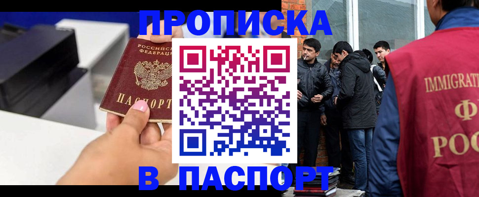 где прописаться в Коле
